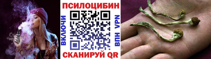 купить наркотики сайты  blacksprut ТОР  Галлюциногенные грибы Psilocybe  Тихвин 