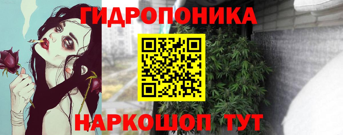 Бошки Шишки MAZAR  Марихуана MAZAR  Конопля Amnesia  Тихвин  Вход с VPN 